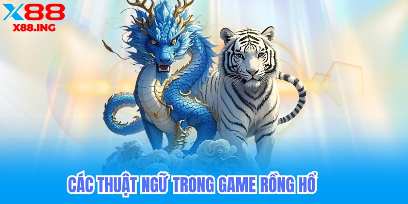 Thuật ngữ trong bài rồng hỗ