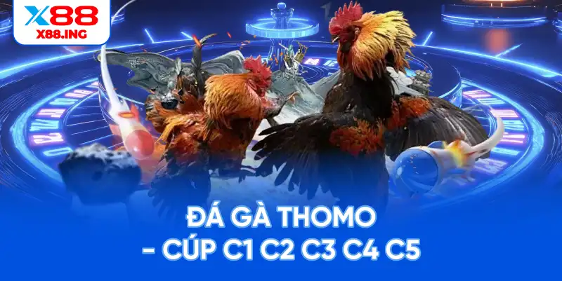 Đá gà thomo cúp c1 c2 c3 c4 c5